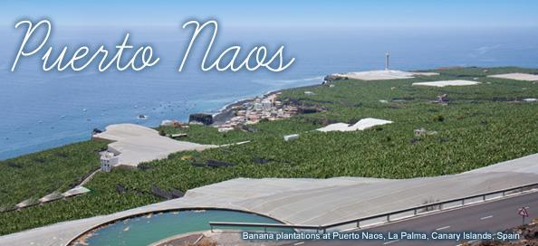 Puerto Naos Apartment Puerto De Naos Εξωτερικό φωτογραφία